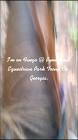 Profile Picture of   Terry Jean Potts Nel... (@terryjeanpottsnel11) on Tiktok