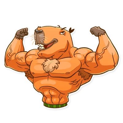Profile Picture of ColdCapybara (@deitch_joshua) on Twitter
