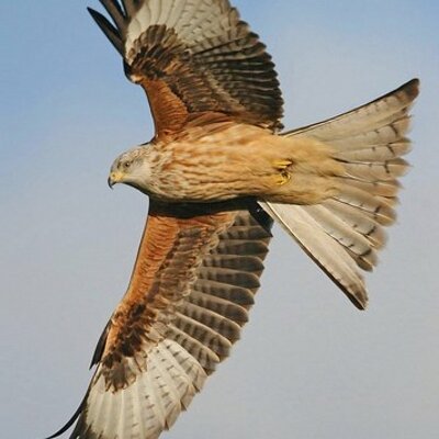 Profile Picture of Darren (@darrenhatcher) on Twitter