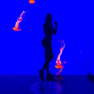 Profile Picture of Liza Patapenka (@LizaPatapenka) on Twitter