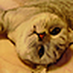 Profile Picture of deCode   D.U.O. (@Junkai Jian   Jinqi Huang) on Flickr