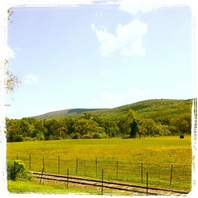 Profile Picture of David Augusta (@DAugustaIII) on Twitter