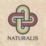 Profile Picture of Toby Irvine (@naturalis_uk) on Instagram