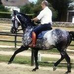 Profile Picture of Guillaume BOUDON.allège.Général DECARPENTRY (@equitation.classique) on Instagram