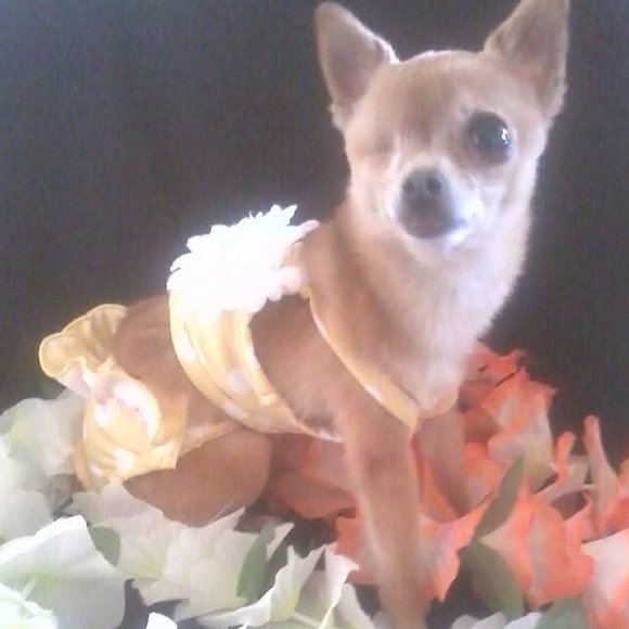 Profile Picture of Baby Kennerson (@foreverbaby) on Poshmark