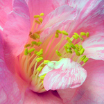 Max Reed - Flickr Profile Picture of Max Reed (@nujqcdrh76) on Flickr