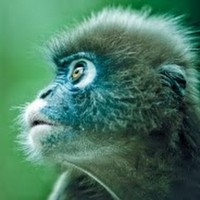 Profile Picture of David Radu (@david-radu) on Quora