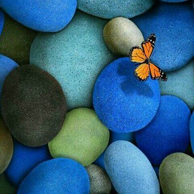 Profile Picture of Pamela (@pamela_groff) on Twitter
