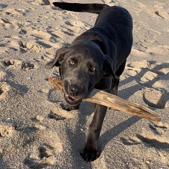 Profile Picture of Kevin Williams (@kw1605) on Poshmark