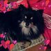 Profile Picture of Duncan Caldwell (@duncan.caldwell.3720) on Facebook