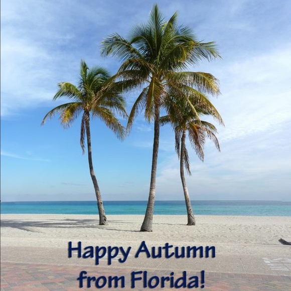 Profile Picture of Damir Zagic (@dado24) on Poshmark