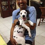 Profile Picture of Ajit Perera (@pereraajit) on Instagram