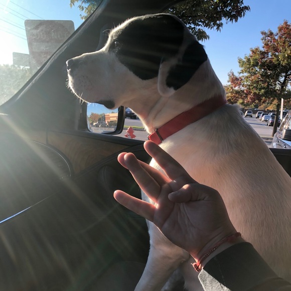 Profile Picture of Alexander Papanicolas (@apapanicolas13) on Poshmark