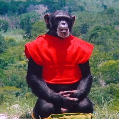 Profile Picture of Michael Bacall (@michaelbacall) on Twitter