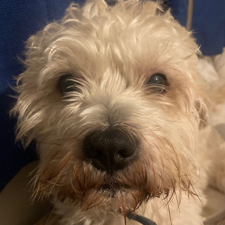Profile Picture of kierancoyl3 (@kierancoyl3) on Tiktok