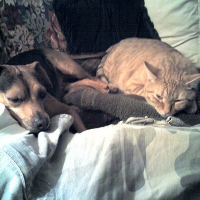 Profile Picture of Daniel Erazo-Villao (@Chunriadito) on Twitter