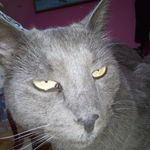 Profile Picture of David Spears (@david_spears_89) on Instagram