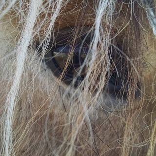 Profile Picture of Dawn Schlickman (Mather) (@dawn.schlickman) on Facebook