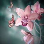 Profile Picture of audrey. gladden (@audre9704) on Instagram