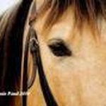 Profile Picture of Louise Frenette (@frenette56) on Instagram