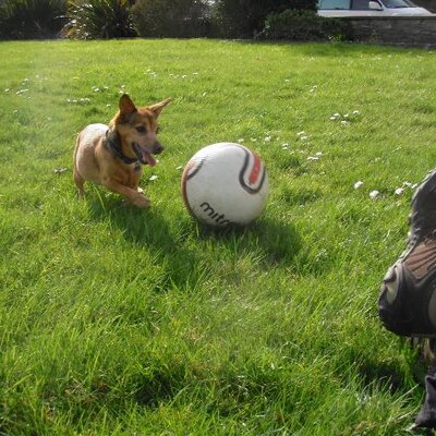 Profile Picture of Clare Thorp (@ThorpClare) on Twitter