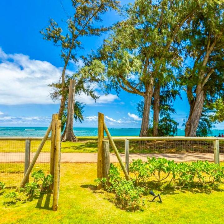 Profile Picture of Mark Tait (@mark.tait) on Tiktok