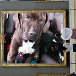 Tina Beauchemin - Instagram Profile Picture of Tina Beauchemin (@beauchemintina) on Instagram