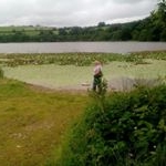 Cindy Morrison Was Jarvis - Instagram Profile Picture of Cindy Morrison Was Jarvis (@morrisonwasjarvis) on Instagram