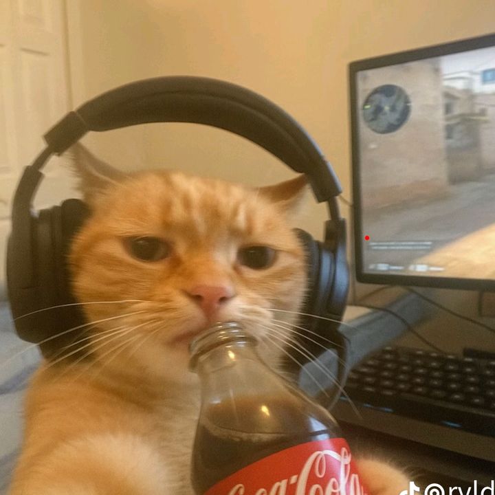 Profile Picture of lenhtnam (@lenhnam_) on Tiktok