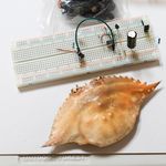 Profile Picture of Sunjoo Lee (@sunzoolee) on Instagram