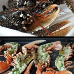 Profile Picture of Joy Reeves (@joyreeves) on Instagram