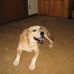Profile Picture of Brett Albers (@brett.albers.12) on Facebook