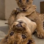 Alicia Nader - Facebook Profile Picture of Alicia Nader (@Alicia-Nader) on Facebook