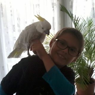 Profile Picture of Joël Borer (@joel.borer.56) on Facebook