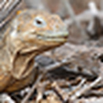 Profile Picture of Steven Bedard (@Seven Bedard) on Flickr