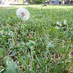 Profile Picture of michael minarik (@m.y.m_photography) on Instagram