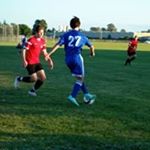 Profile Picture of Tyler Freedman (@freedman.tyler) on Instagram