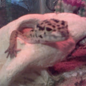 Profile Picture of Jon Jarman (@jonjarman7019) on Youtube