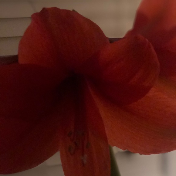 Profile Picture of Gayle Tepper (@teppe54) on Poshmark
