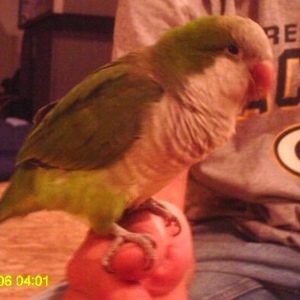 Profile Picture of Karyn Craig-loberg (@mamasexy5) on Myspace