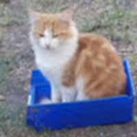 Profile Picture of Steve Medrano (@steve-medrano-9) on Quora