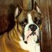 Profile Picture of Lazaro Lezcano (@lezcanomd) on Pinterest