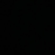Profile Picture of Cody Dunne (@codydunne4295) on Youtube