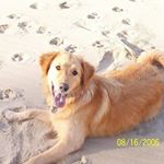 Profile Picture of Tony Kraus (@kraus5505) on Instagram