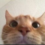 Profile Picture of stan walter ash (@edlifestyle_69420) on Instagram