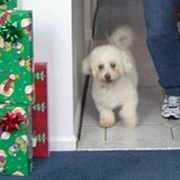 Profile Picture of Kimberly Tarkowski (@ktarkowski2012) on Pinterest