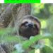 Profile Picture of Caleb Quick (@calebq7906) on Pinterest