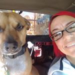 Profile Picture of Ernest Armijo (@windowsofopportunity8671) on Instagram