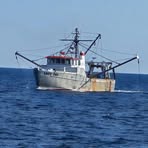 Profile Picture of Bryan A Despres (@Bryan-A-Despres) on Facebook