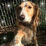 Profile Picture of Tracey Perrin (@tracey.perrin.54) on Instagram